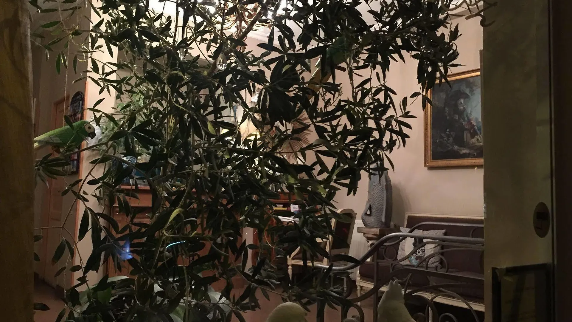 فندق Villa Berlioz نيس